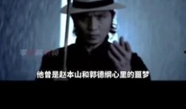 苏有朋八卦爆料视频大全,视频大全带你探秘明星私生活